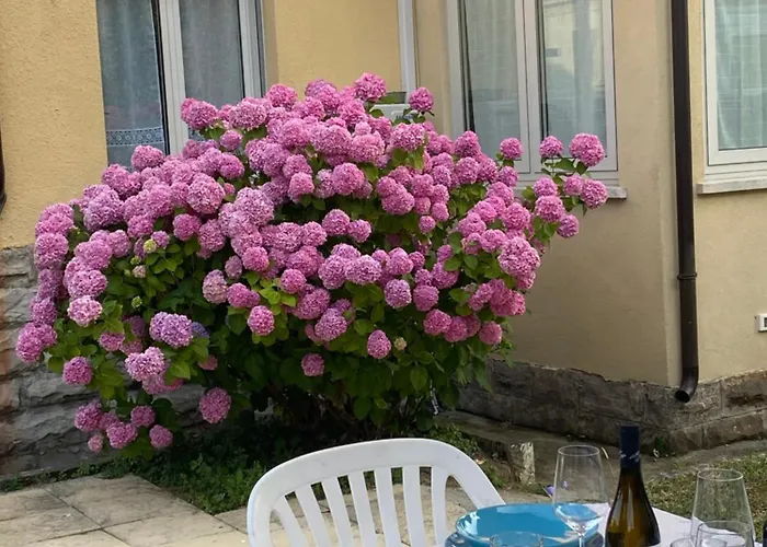 Alle Pratoline Casa vacanze spaziosa vicino Trieste e mare con deposito bici e moto coperto